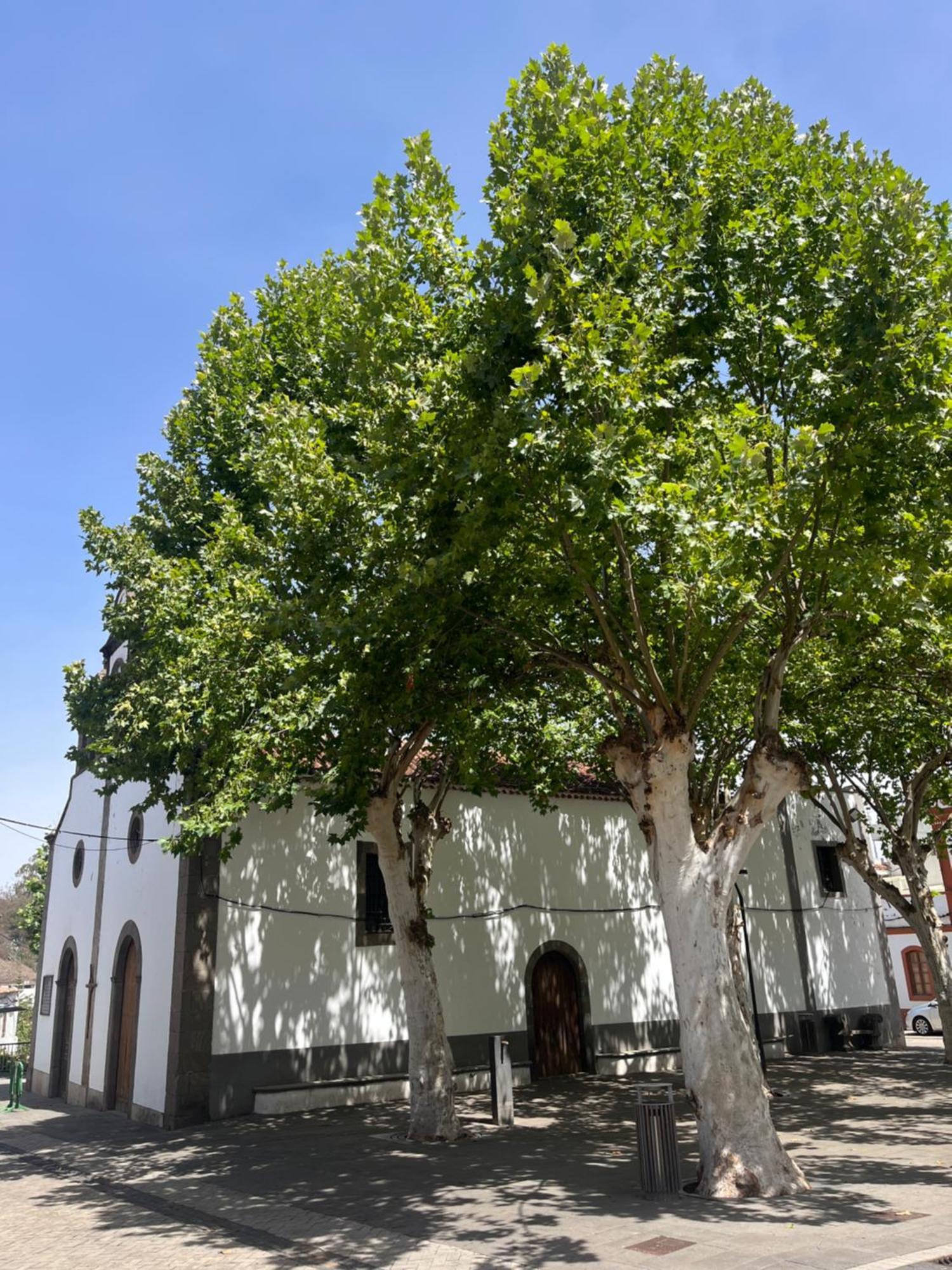 Apartamento Duplex En Fontanales Agua de Fontanales Esterno foto